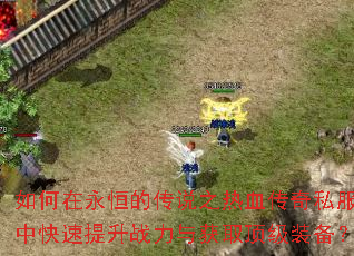 如何在永恒的传说之热血传奇私服中快速提升战力与获取顶级装备? 如何在永恒的传说之热血传奇私服中快速提升战力与获取顶级装备?
