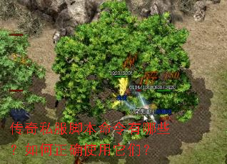 ����˽���ű���������Щ�������ȷʹ�����ǣ�