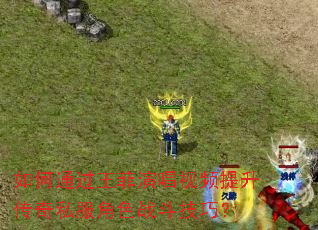 如何通过王菲演唱视频提升传奇私服角色战斗技巧? 如何通过王菲演唱视频提升传奇私服角色战斗技巧?