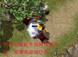 传奇私服新手如何快速升级?有哪些必做任务? 传奇私服新手如何快速升级?有哪些必做任务?