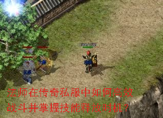 法师在传奇私服中如何高效战斗并掌握技能释放时机? 法师在传奇私服中如何高效战斗并掌握技能释放时机?