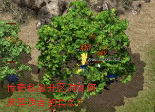 传奇私服开区时如何选择适合的套装? 传奇私服开区时如何选择适合的套装?
