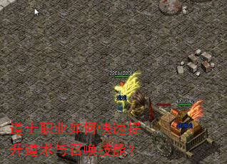 道士职业如何快速提升道术与召唤技能? 道士职业如何快速提升道术与召唤技能?