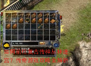 如何前往复古传神丛林迷宫?传奇游戏攻略全解析 如何前往复古传神丛林迷宫?传奇游戏攻略全解析