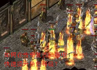 如何在传奇复古私服中快速提升角色等级? 如何在传奇复古私服中快速提升角色等级?