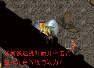 如何快速提升新开合击公益服角色等级与战力? 如何快速提升新开合击公益服角色等级与战力?