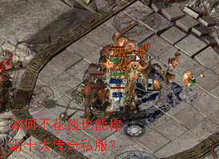 ��β���ǮҲ�ܳư�ʮ����˽����