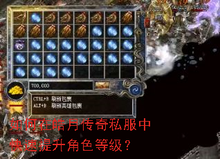 如何在皓月传奇私服中快速提升角色等级? 如何在皓月传奇私服中快速提升角色等级?