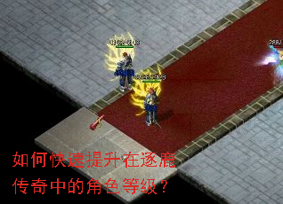 如何快速提升在逐鹿传奇中的角色等级? 如何快速提升在逐鹿传奇中的角色等级?