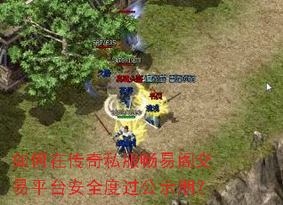 如何在传奇私服畅易阁交易平台安全度过公示期? 如何在传奇私服畅易阁交易平台安全度过公示期?