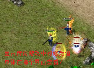 复古传奇游戏中的修为值具体在哪个界面查看? 复古传奇游戏中的修为值具体在哪个界面查看?