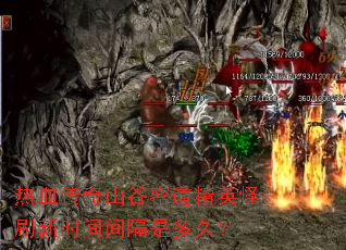 热血传奇山谷密道精英怪刷新时间间隔是多久? 热血传奇山谷密道精英怪刷新时间间隔是多久?