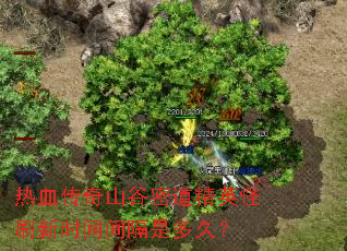 热血传奇山谷密道精英怪刷新时间间隔是多久? 热血传奇山谷密道精英怪刷新时间间隔是多久?