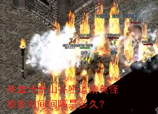 热血传奇山谷密道精英怪刷新时间间隔是多久? 热血传奇山谷密道精英怪刷新时间间隔是多久?
