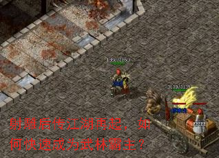 射雕后传江湖再起,如何快速成为武林霸主? 射雕后传江湖再起,如何快速成为武林霸主?