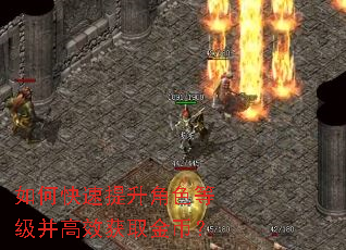 如何快速提升角色等级并高效获取金币? 如何快速提升角色等级并高效获取金币?