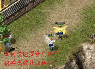如何快速提升角色等级并高效获取金币? 如何快速提升角色等级并高效获取金币?