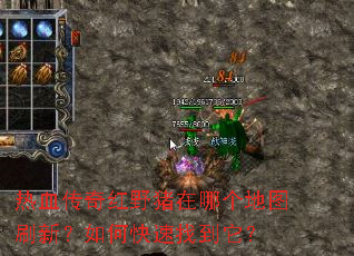 热血传奇红野猪在哪个地图刷新?如何快速找到它? 热血传奇红野猪在哪个地图刷新?如何快速找到它?