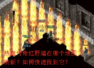 热血传奇红野猪在哪个地图刷新?如何快速找到它? 热血传奇红野猪在哪个地图刷新?如何快速找到它?