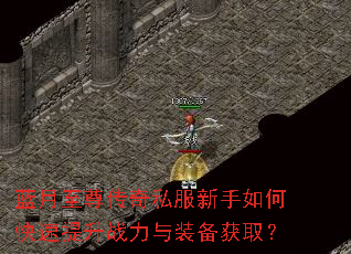 蓝月至尊传奇私服新手如何快速提升战力与装备获取? 蓝月至尊传奇私服新手如何快速提升战力与装备获取?