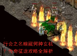 行会之名暗藏何种玄机?传奇征途攻略全解析 行会之名暗藏何种玄机?传奇征途攻略全解析