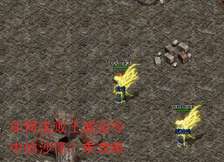 如何击败王城诏令中的沙怪?求攻略 如何击败王城诏令中的沙怪?求攻略