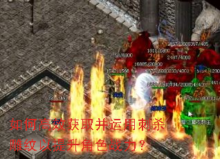 如何高效获取并运用刺杀雕纹以提升角色战力? 如何高效获取并运用刺杀雕纹以提升角色战力?