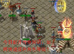 今日新开传奇网站,如何快速提升角色等级? 今日新开传奇网站,如何快速提升角色等级?