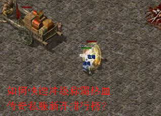 如何快速冲级称霸热血传奇私服新开排行榜? 如何快速冲级称霸热血传奇私服新开排行榜?