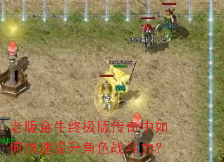 老版金牛终极版传奇中如何快速提升角色战斗力? 老版金牛终极版传奇中如何快速提升角色战斗力?