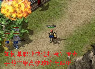 如何单职业快速打金?传奇手游官服高效攻略全解析 如何单职业快速打金?传奇手游官服高效攻略全解析