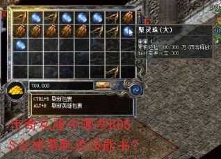 ����˽������ЩBOSS������ɱ�����飿