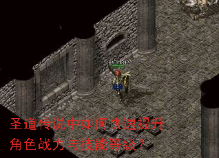 圣道传说中如何快速提升角色战力与技能等级? 圣道传说中如何快速提升角色战力与技能等级?