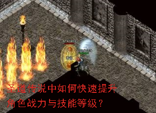 圣道传说中如何快速提升角色战力与技能等级? 圣道传说中如何快速提升角色战力与技能等级?