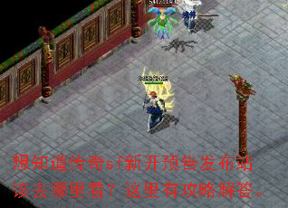想知道传奇sf新开预告发布站该去哪里看?这里有攻略解答。 想知道传奇sf新开预告发布站该去哪里看?这里有攻略解答。
