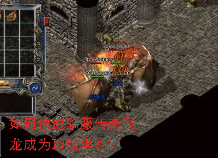 如何快速驯服传奇飞龙成为顶级坐骑? 如何快速驯服传奇飞龙成为顶级坐骑?