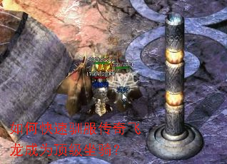 如何快速驯服传奇飞龙成为顶级坐骑? 如何快速驯服传奇飞龙成为顶级坐骑?