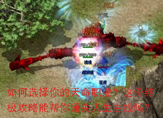 如何选择你的天命职业?这份终极攻略能帮你通关人生主线吗? 如何选择你的天命职业?这份终极攻略能帮你通关人生主线吗?