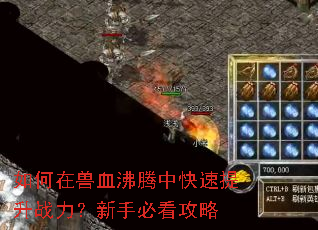 如何在兽血沸腾中快速提升战力?新手必看攻略 如何在兽血沸腾中快速提升战力?新手必看攻略