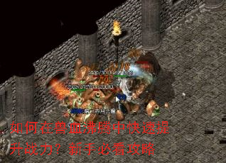 如何在兽血沸腾中快速提升战力?新手必看攻略 如何在兽血沸腾中快速提升战力?新手必看攻略