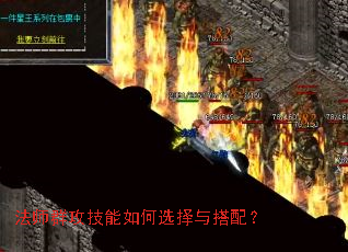 ��ʦȺ���������ѡ������䣿