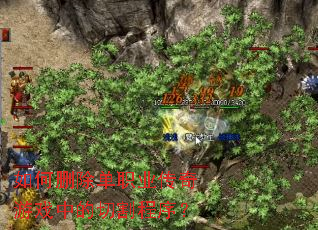 如何删除单职业传奇游戏中的切割程序? 如何删除单职业传奇游戏中的切割程序?