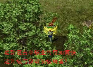 ���¸��ŵ�ְҵ������ο����������ȡ����װ����