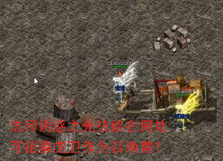 法师诱惑之光技能在何处可招募虎卫作为召唤兽? 法师诱惑之光技能在何处可招募虎卫作为召唤兽?