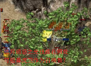 法师诱惑之光技能在何处可招募虎卫作为召唤兽? 法师诱惑之光技能在何处可招募虎卫作为召唤兽?