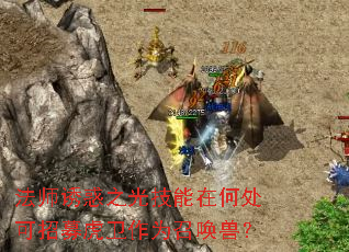 法师诱惑之光技能在何处可招募虎卫作为召唤兽? 法师诱惑之光技能在何处可招募虎卫作为召唤兽?