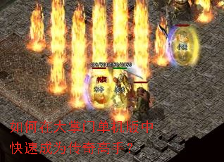 如何在大掌门单机版中快速成为传奇高手? 如何在大掌门单机版中快速成为传奇高手?