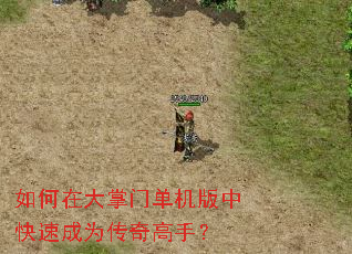 如何在大掌门单机版中快速成为传奇高手? 如何在大掌门单机版中快速成为传奇高手?