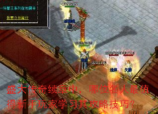 盛大传奇续章中,哪位名人最值得新手玩家学习其攻略技巧? 盛大传奇续章中,哪位名人最值得新手玩家学习其攻略技巧?