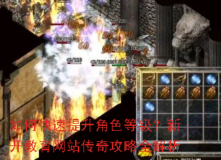 如何快速提升角色等级?新开教育网站传奇攻略全解析 如何快速提升角色等级?新开教育网站传奇攻略全解析